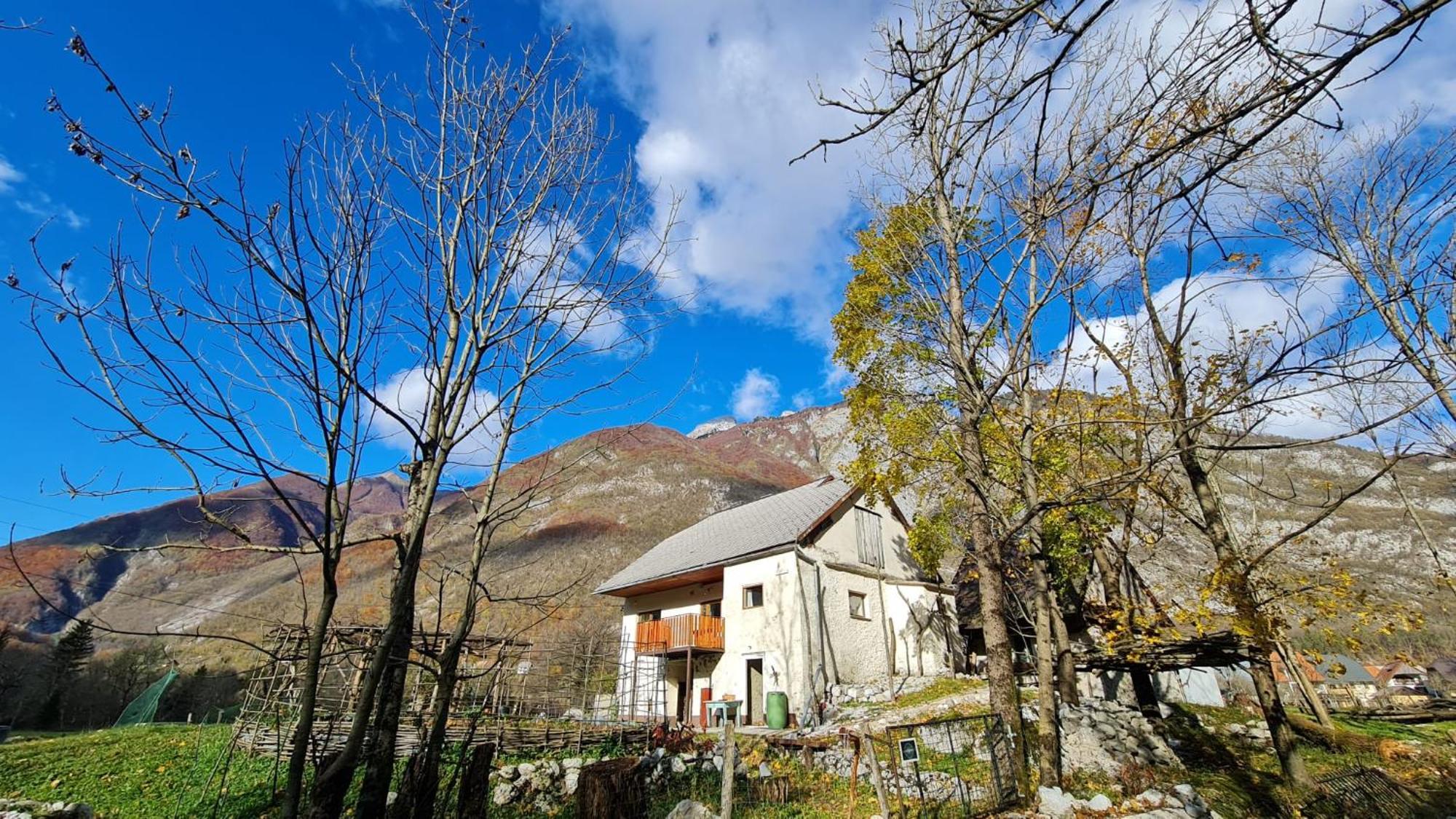 Appartamento Stara Hisa Log Cezsoski Esterno foto