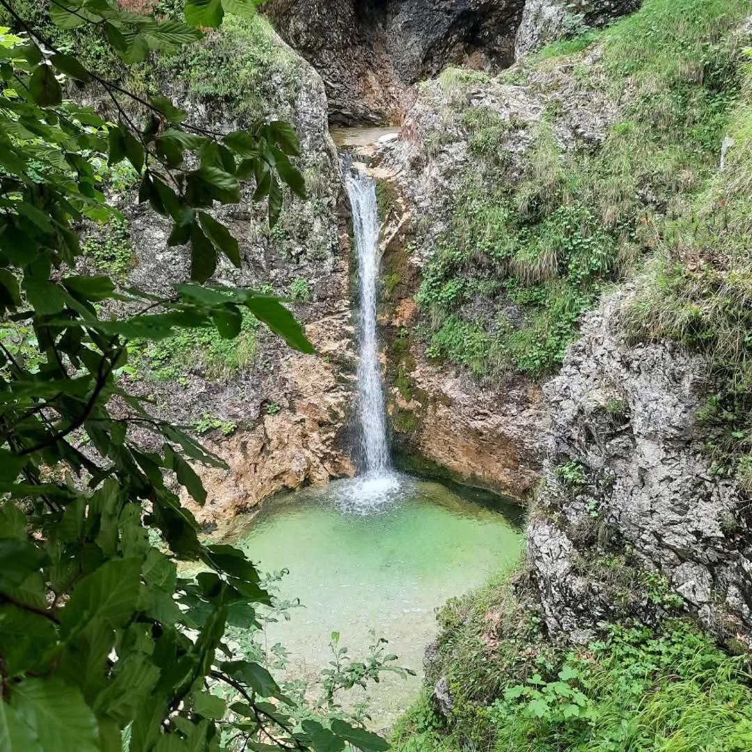 Appartamento Stara Hisa Log Cezsoski Esterno foto